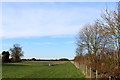 Fields East of Norton-le-Clay