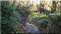 Llantrisant Brook