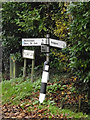TM1178 : Roadsign on Millway Lane by Geographer