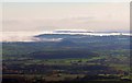 Berrow Wood, Berth Hill and beyond