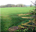 View towards Furze Meadow