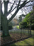 TQ3471 : Sydenham Wells Park (2) by Stephen Richards