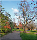 TQ3471 : Sydenham Wells Park (3) by Stephen Richards