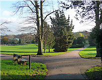 TQ3471 : Sydenham Wells Park (4) by Stephen Richards