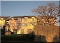 Houses on St Vincent