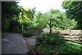 Footpath into Penshurst Park