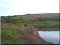 Silverdale Country Park: west edge of lake in the Void