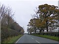 A495 passing The Rookery, Bettisfield Park