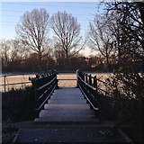 SK5034 : Frosty footbridge by David Lally
