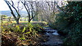 The Llwynau Brook