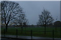 Tooting Bec Common, dark December morning