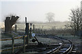 Frosty morning - Amerton Railway