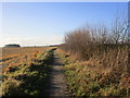 Bridleway to Topham