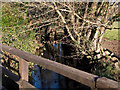 Looking down Mully Brook from Hansford Bridge