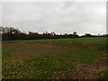 TM2084 : Playing Field off Station Road by Geographer