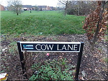 SU5290 : Cow Lane name sign, Didcot by Jaggery