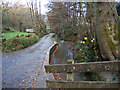 Looking down Mully Brook from a bridge on Churchwater Lane