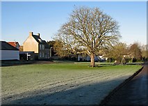 TL5666 : Reach: Fair Green on a frosty morning by John Sutton