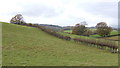 Countryside at Gwehelog