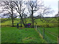 Walkers cross footbridge near Crow Trees Farm