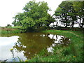 S4328 : Pond at Bregaun by Humphrey Bolton