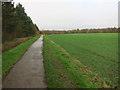 Cambridge Jubilee Cycleway