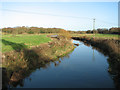 The River Wensum north of Elsing