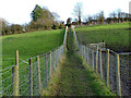 SK4960 : Field footpath near Skegby Hall by Alan Murray-Rust
