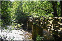 SE3258 : Footbridge across the Nidd by N Chadwick