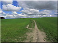 Path on the west side of Weathercock Hill near Garswood