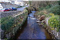 River Mardle, Buckfastleigh