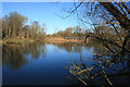 Wolvercote Lake Nature Reserve