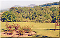 Eildon Hills from Kingsknowe Hotel, Galashiels 1988