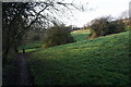 Path above Bentley Brook