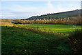 Playing field below Hurst Rise