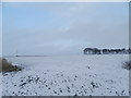 Snow covered field at Newton of Affleck