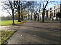 The edge of Highbury Fields