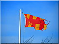 NU1534 : Flag of Northumberland, Waren Caravan Park by Andrew Curtis
