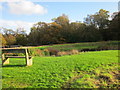 Pond and Bench at Beacon Hill Country Park