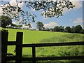 Field near Manor Farm, Lydford