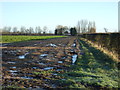 Farmland and hedgerow