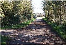TQ0802 : Lane by East Kingston Farm by Mr Ignavy
