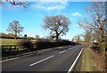 SK1534 : Road Bend on the A515 by Jonathan Clitheroe