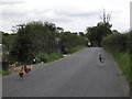 A welcoming party on the Millvale Road