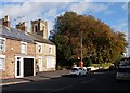 Tree, Church St, Kilham