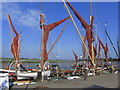 Thames Sailing Barges, Chandlers Quay, Maldon