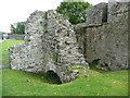S4943 : Remains of the water mill in Kells Priory by Humphrey Bolton