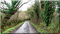 Unnamed lane, east of Prestbury