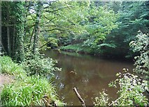 SE3357 : River Nidd in the Nidd Gorge by N Chadwick