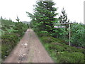 View ESE along track at Carnach, Little loch Broom